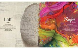 4 exercitii simple pentru a ne antrena emisfera dreapta a creierului